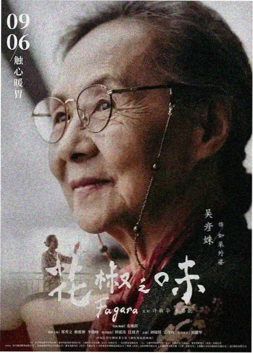 钢铁花火动画海报