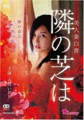 边境来客电影海报